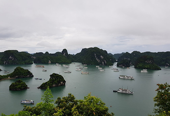 天堂岛第 14 张图片
