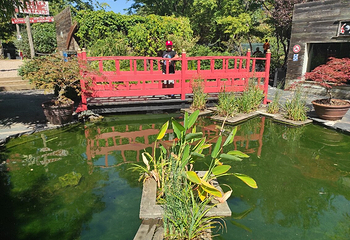 昂内维尔水族馆第 1 张图片