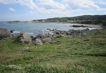 种差海岸第 22 张图片