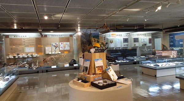 鸟取县立博物馆