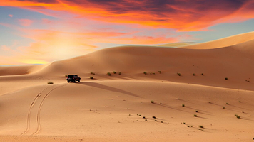 Morning Desert Safari