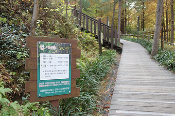 长泰山自然休养林第 13 张图片