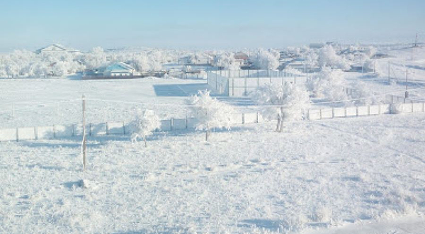 Tsentral'nyy Stadion