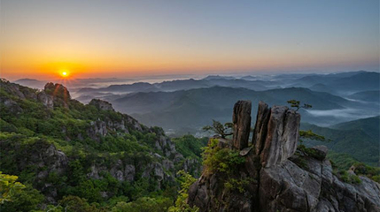 大屯山道立公园第 1 张图片