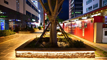 Gangneung Wolhwa street