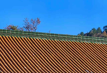 天目山自然保护区第 69 张图片