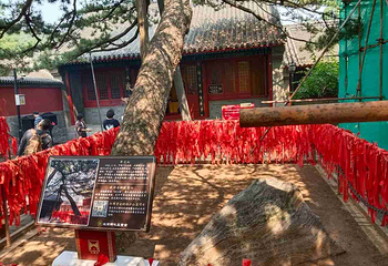 红螺寺第 162 张图片