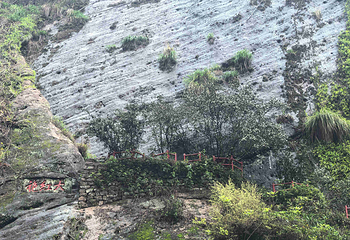 武夷山国家公园第 145 张图片