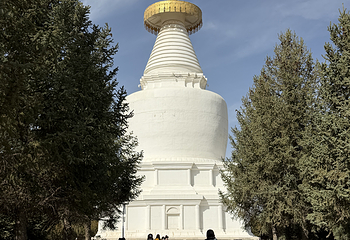凉州白塔寺第 34 张图片