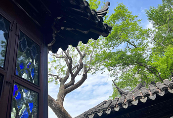 拙政园第 299 张图片