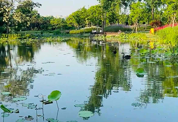 世纪公园第 70 张图片
