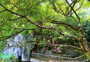 鹅岭公园第 83 张图片