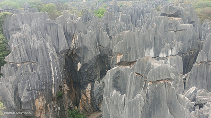石林风景区第 296 张图片