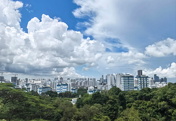 花柏山公园第 50 张图片