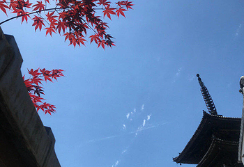 三年坂二年坂第 127 张图片