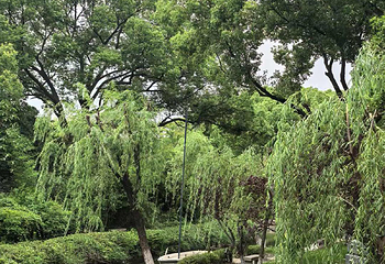 盘门景区第 39 张图片
