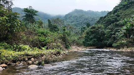 古龙山大峡谷第 75 张图片