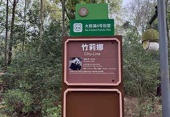 成都大熊猫繁育研究基地第 264 张图片