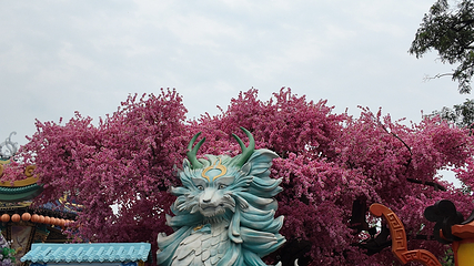 万岁山武侠城第 161 张图片
