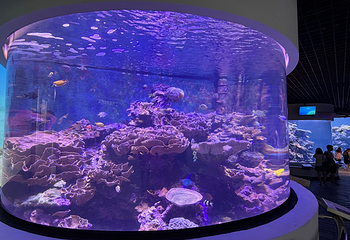 台湾海洋生物博物馆第 36 张图片