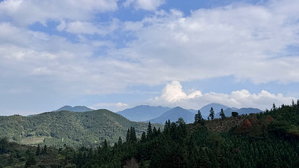 西溪森林温泉度假村第 26 张图片