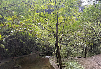 金丝峡景区第 28 张图片