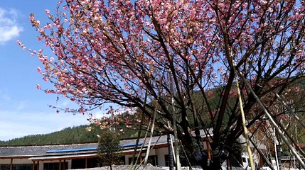 匡山国家森林公园第 1 张图片