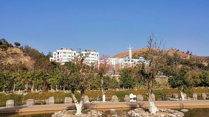 水中央湿地公园第 1 张图片