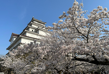 黑川城第 8 张图片