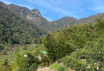 九华山风景区第 154 张图片