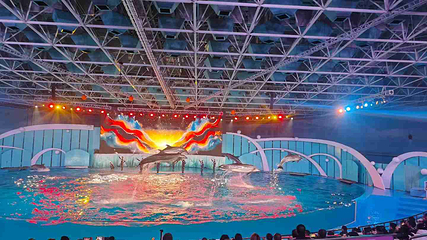 海合安青岛极地海洋公园第 16 张图片