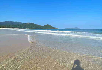 西涌沙滩第 22 张图片