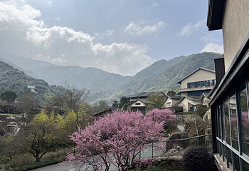 葛仙村度假区第 179 张图片