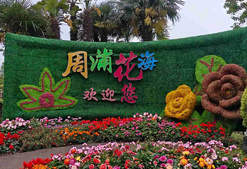 周浦花海第 141 张图片