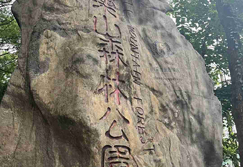 歌乐山国家森林公园第 50 张图片