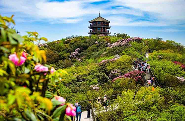 金佛山第 89 张图片