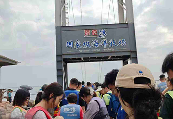爱伦湾海洋牧场第 46 张图片