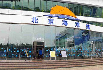 北京海洋馆第 75 张图片