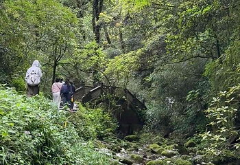 青城山第 350 张图片