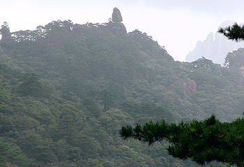 黄山风景区第 516 张图片