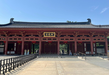兴庆宫公园第 28 张图片