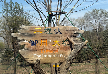 东北虎林园第 155 张图片