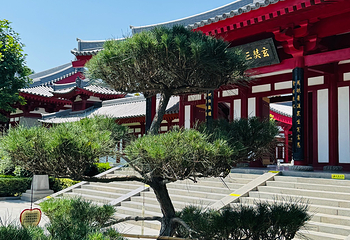 大雁塔第 71 张图片