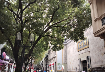 南宋御街第 155 张图片