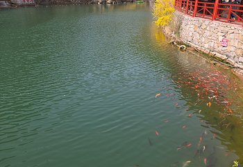 黄花溪景区第 35 张图片