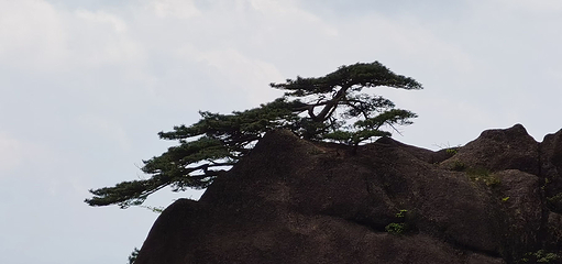 黄山风景区第 487 张图片
