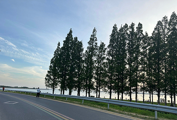 淀山湖风景区第 52 张图片