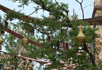青岛丝路千古情景区第 35 张图片