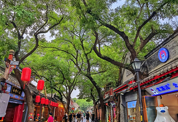 南锣鼓巷第 121 张图片