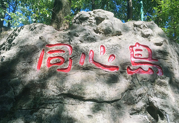 歌乐山国家森林公园第 48 张图片